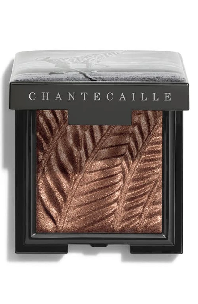 Chantecaille Luminescent Eye Shade Eyeshadow in Giraffe at Nordstrom