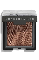 Chantecaille Luminescent Eye Shade Eyeshadow in Giraffe at Nordstrom