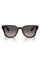 Prada 52mm Square Polarized Sunglasses in Tortoise at Nordstrom