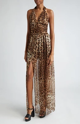 Dolce & Gabbana Leopard Print Silk Chiffon Halter Dress Hy13M Leo New at Nordstrom, Us