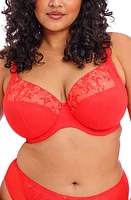 Elomi Charley Full Figure Underwire Plunge Bra at Nordstrom,