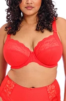 Elomi Charley Full Figure Underwire Convertible Plunge Bra at Nordstrom,