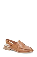 Dolce Vita Hardi Slingback Penny Loafer at Nordstrom,