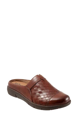 SoftWalk San Marcos II Clog Rust at Nordstrom,