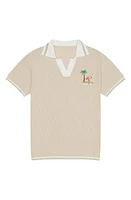 MAVRANS Flamingo Beach Mesh Johnny Collar Polo Tan Multi at Nordstrom,