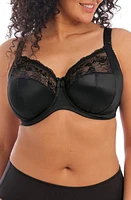 Elomi Morgan Full Figure Underwire Bra at Nordstrom,