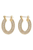 Luv AJ Baby Amalfi Pavé Hoop Earrings in Gold at Nordstrom