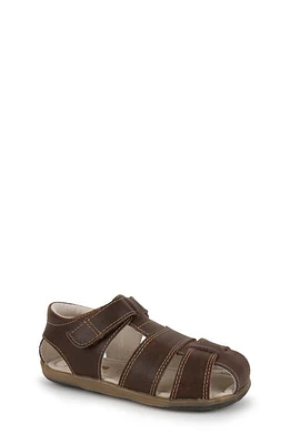 See Kai Run Jude Sandal Brown at Nordstrom, M