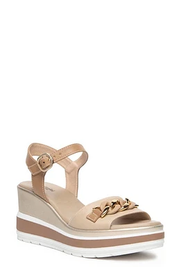 NeroGiardini Chain Ankle Strap Platform Wedge Sandal at Nordstrom,