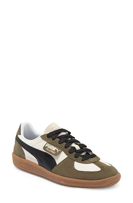 PUMA Palermo Sneaker Sugared Almond-Black-Olive at Nordstrom,