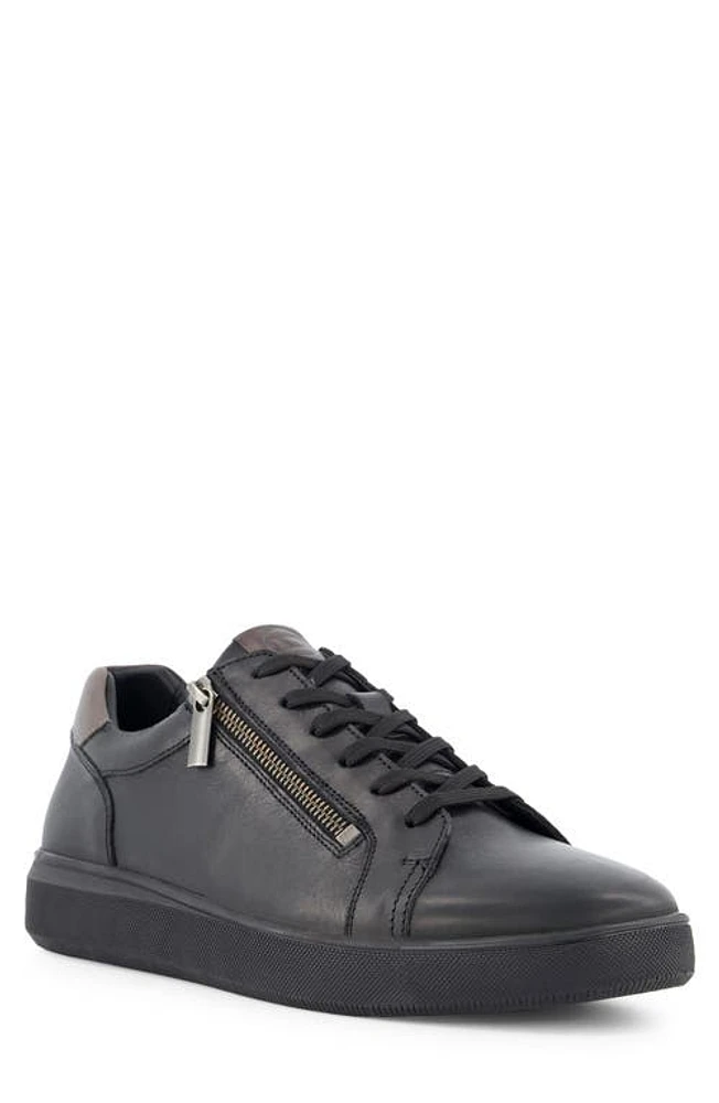 Dune London Tribute Zip-Up Leather Sneaker Black at Nordstrom,