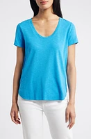 Tommy Bahama Ashby Isles Curve Hem T-Shirt at Nordstrom,