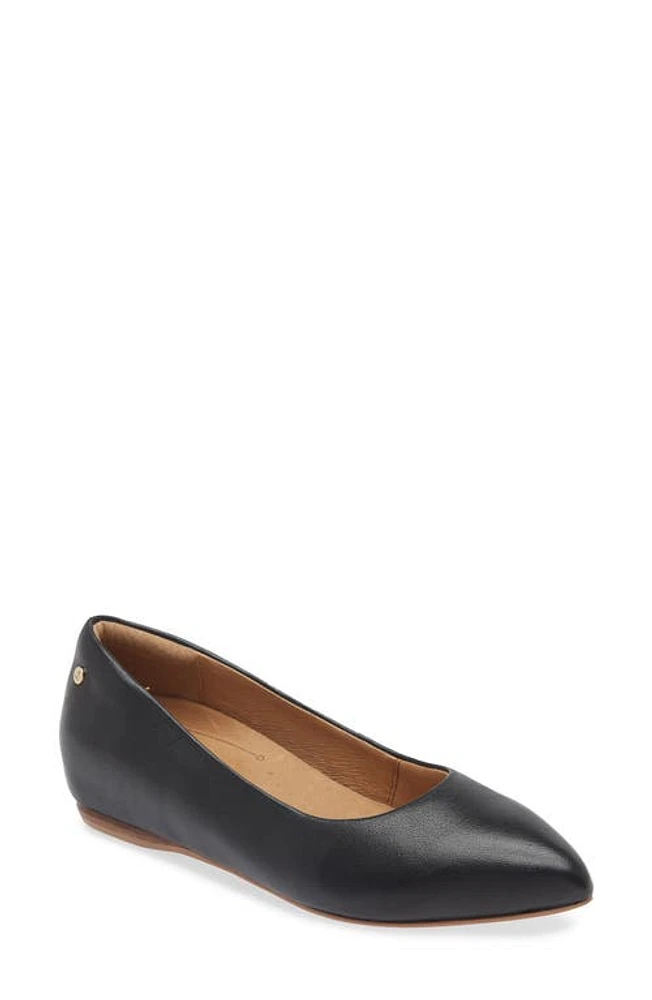 FRANKIE4 Poppy Pointed Toe Flat Black at Nordstrom,