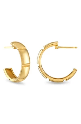 Pamela Zamore Veda Large Hoop Earrings in Gold at Nordstrom