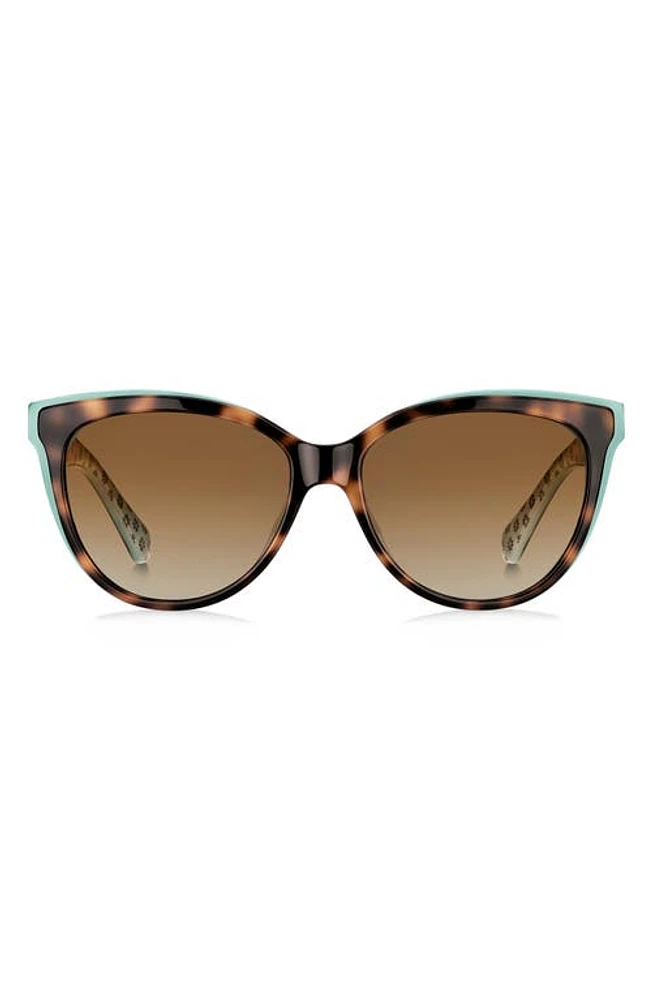 Kate Spade New York daeshas 56mm polarized cat eye sunglasses in Havana/Green/Brown at Nordstrom