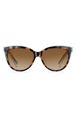 Kate Spade New York daeshas 56mm polarized cat eye sunglasses in Havana/Green/Brown at Nordstrom