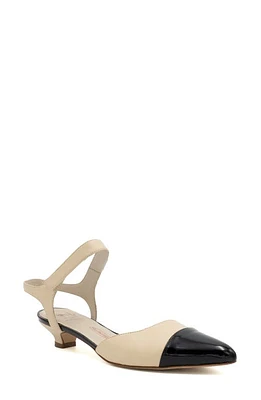 Amalfi by Rangoni Aosta Ankle Strap Pointed Cap Toe Pump at Nordstrom,