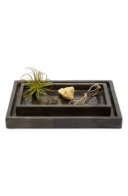 PIGEON AND POODLE Arles Faux Horn Set of 2 Nesting Trays in Dark at Nordstrom