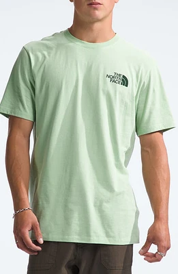 The North Face Places We Love Graphic T-Shirt Misty Sage/Pine Needle at Nordstrom,