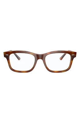 Ray-Ban 52mm Square Optical Glasses in Brown Havana at Nordstrom