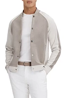 Reiss Pelham Bomber Jacket Taupe/White at Nordstrom,