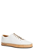 BRUNO MAGLI COLLEZIONE Trento Court Sneaker White at Nordstrom,