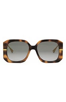 'Fendigraphy 55mm Geometric Sunglasses in Havana /Gradient Smoke at Nordstrom