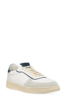 Stuart Weitzman SW Courtside Sneaker Light at Nordstrom,