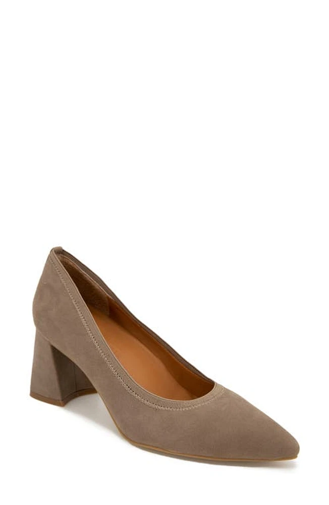 GENTLE SOULS BY KENNETH COLE Dionne Pointed Toe Pump Mushroom at Nordstrom,