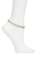 Jenny Bird Francis Mesh Chain Anklet in Gold at Nordstrom