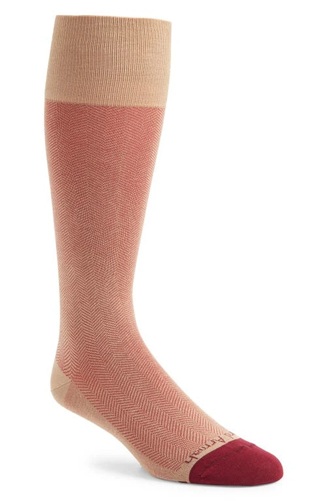 EDWARD ARMAH Neat Cotton Blend Dress Socks in Khaki at Nordstrom