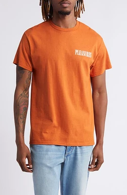 PLEASURES Vertical Cotton Graphic T-Shirt Texas Orange at Nordstrom,