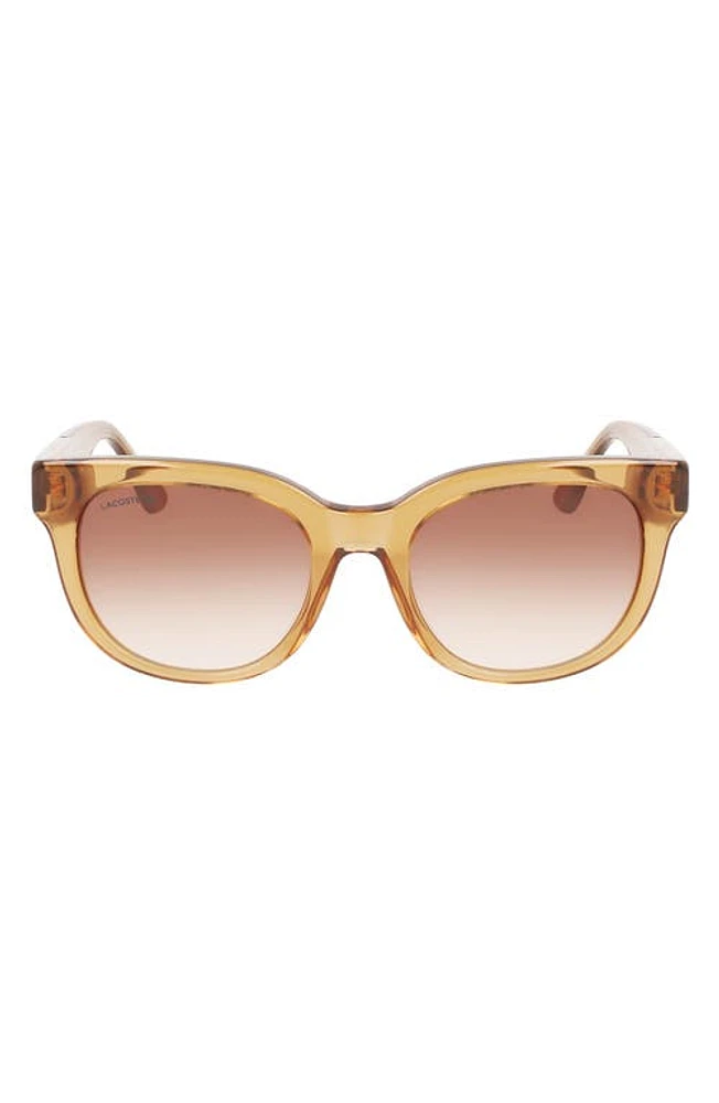 Lacoste 52mm Oval Sunglasses in Transparent Caramel at Nordstrom