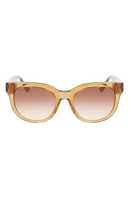 Lacoste 52mm Oval Sunglasses in Transparent Caramel at Nordstrom