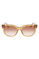 Lacoste 52mm Oval Sunglasses in Transparent Caramel at Nordstrom