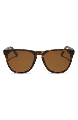 DIFF Darren 55mm Polarized Square Sunglasses in Matte Rich Tort /Brown at Nordstrom