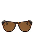 DIFF Darren 55mm Polarized Square Sunglasses in Matte Rich Tort /Brown at Nordstrom