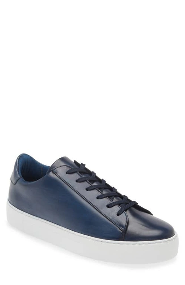 G Brown Ace Low Top Leather Sneaker Blue at Nordstrom,