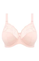 Elomi Morgan Full Figure Underwire Bra at Nordstrom,