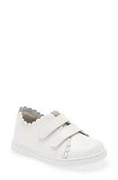 L'AMOUR Caroline Scallop Sneaker at Nordstrom, M