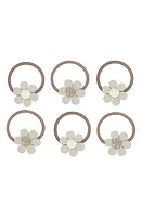 Mimi & Lula Kids' Daisy Assorted 6-Pack Mini Ponytail Holders in Light Beige at Nordstrom