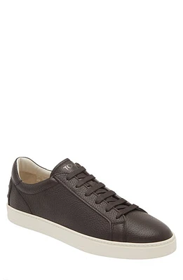 Tod's Cassetta Sneaker Caffe at Nordstrom,