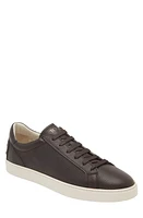 Tod's Cassetta Sneaker Caffe at Nordstrom,