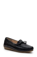 ara Amarillo Leather Driving Shoe Blau Cervocalf at Nordstrom,