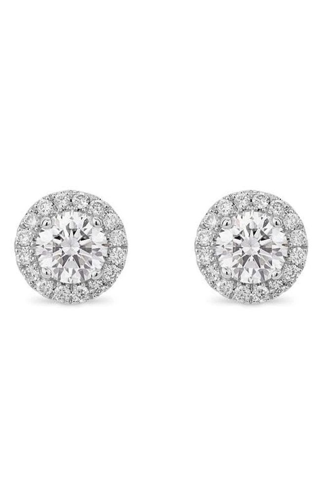 LIGHTBOX 1-Carat Lab Grown Diamond Halo Stud Earrings in White/14K White Gold at Nordstrom