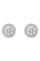 LIGHTBOX 1-Carat Lab Grown Diamond Halo Stud Earrings in White/14K White Gold at Nordstrom