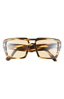 TOM FORD Redford 56mm Navigator Sunglasses in Shiny Honey /Amber at Nordstrom