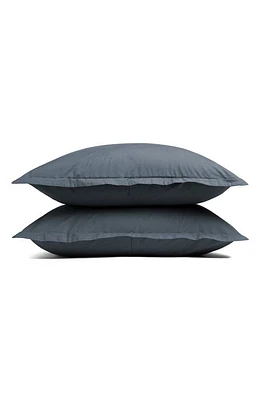 Parachute Set of 2 Brushed Cotton Shams in Dusk at Nordstrom