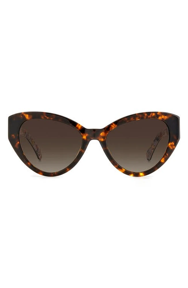 Kate Spade New York paisleigh 55mm gradient cat eye sunglasses in Havana/Brown at Nordstrom