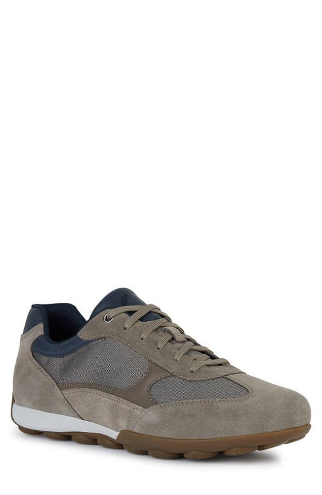 Geox Snake Sneaker at Nordstrom,